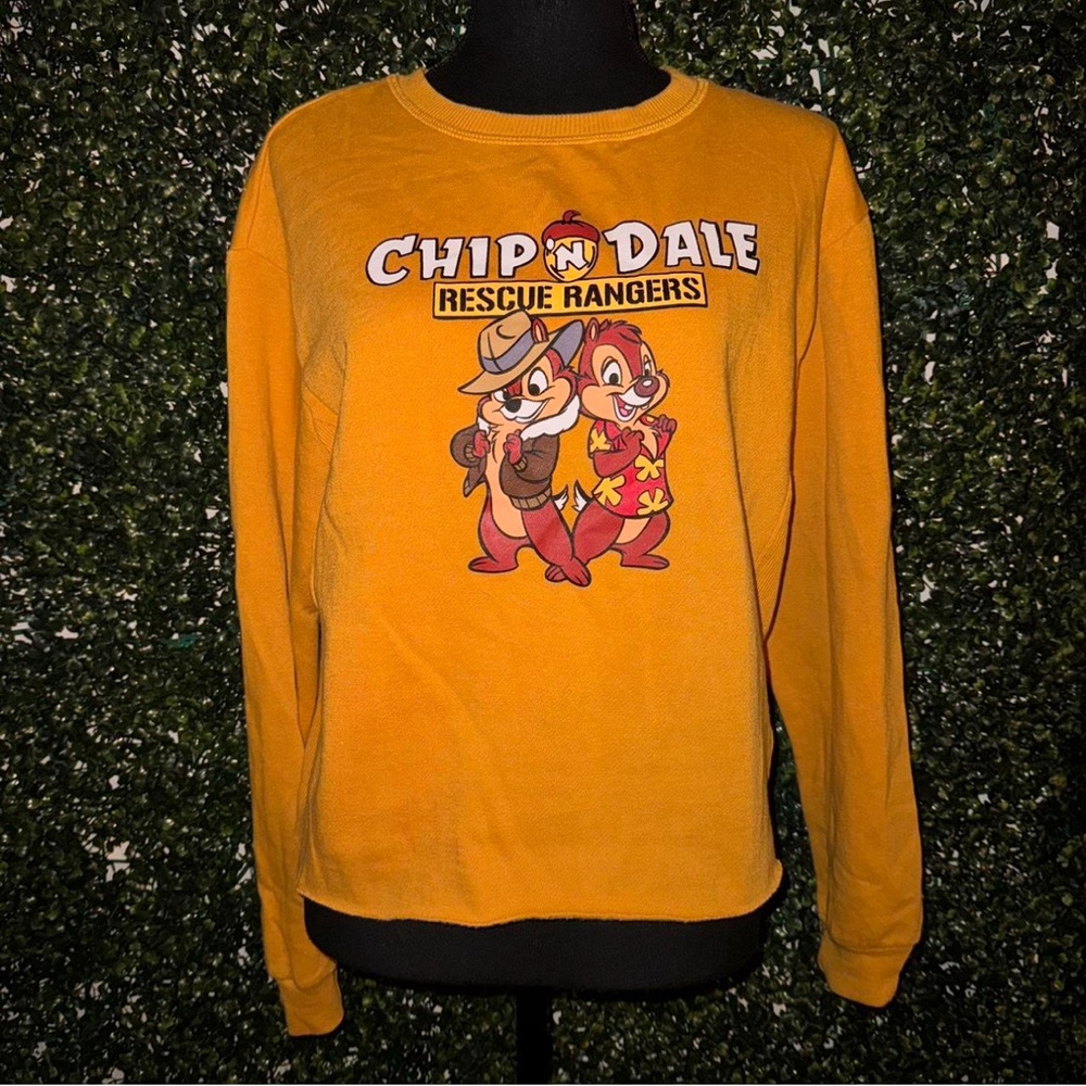 Chip n dale rescue rangers disney